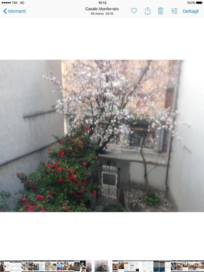 Magnolia Casale Monferrato Exterior foto